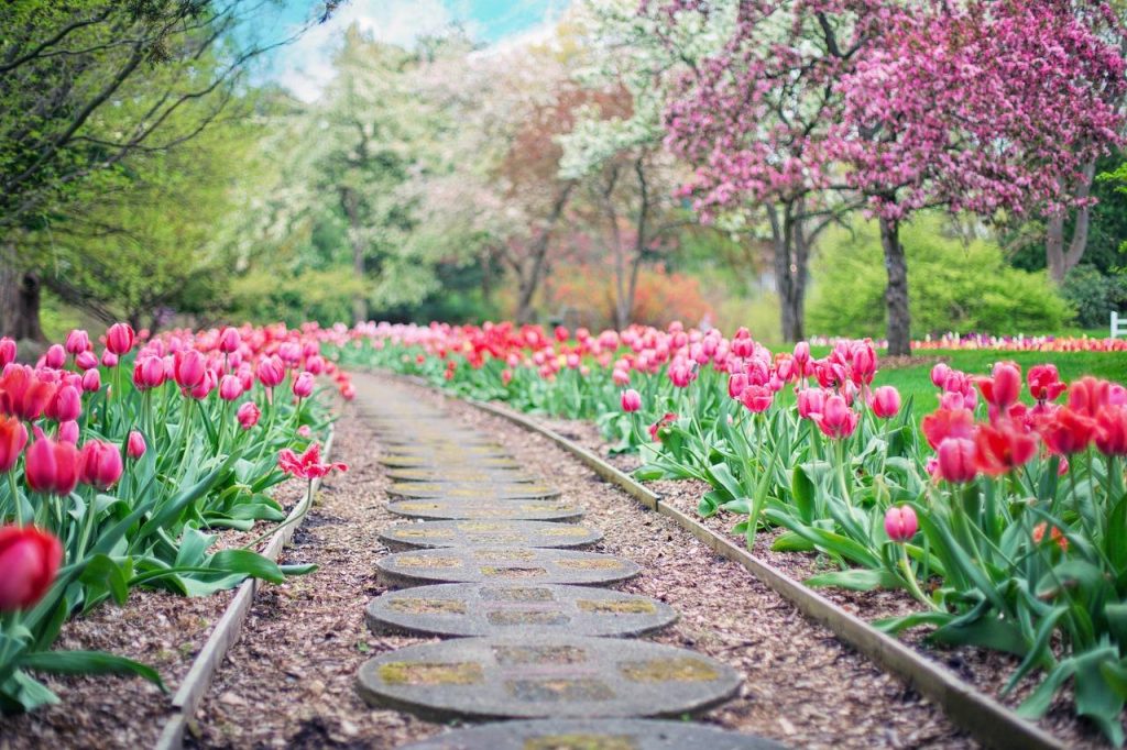 Prachtige landelijke tuin met natuurlijke materialen, groene beplanting en gezellige zithoeken